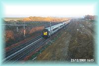 th_p0002389.jpg 5.9K
