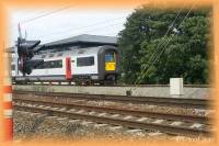 th_p0012807.jpg 6.5K