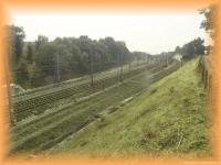th_m2003081116160041.jpg 5.9K