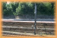 th_p0009509.jpg 7.8K