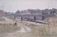 th_haren.jpg 4.6K
