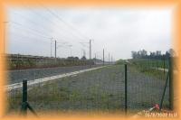 th_p0012479.jpg 4.6K