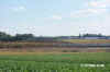 q0001745.jpg (72683 bytes)