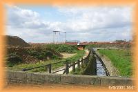 th_p0003420.jpg 6.4K