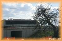th_p0003439.jpg 6.8K