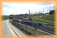 th_p0003445.jpg 6.7K