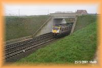 th_p0003061.jpg 5.8K
