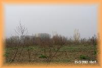th_pex00063.jpg 4.5K