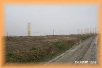 th_pex00064.jpg 4.3K