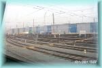 th_p0002470.jpg 3.6K