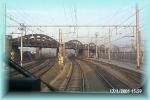 th_p0002473.jpg 3.9K