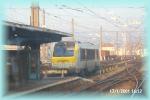 th_p0002489.jpg 3.8K