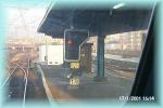 th_p0002492.jpg 3.9K