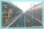 th_p0002509.jpg 3.4K