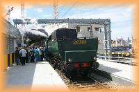 th_p0003799.jpg 7.6K