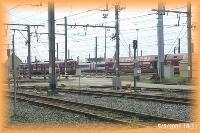 th_p0003852.jpg 8.3K