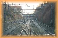 th_p0002696.jpg 6.8K