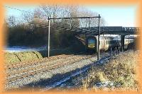 th_p0007803.jpg 8.5K