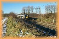 th_p0007804.jpg 7.8K