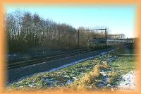 th_p0007817.jpg 6.9K