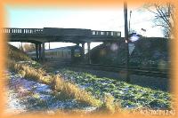 th_p0007819.jpg 7.7K