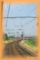 th_p0006029.jpg 6.2K