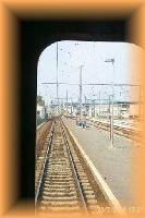 th_p0006056.jpg 5.9K