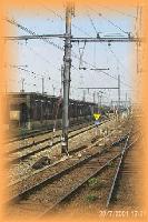 th_p0006064.jpg 7.9K