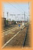 th_p0006065.jpg 7.1K