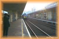 th_p0013903.jpg 5.6K