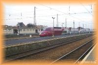 th_p0013921.jpg 6.2K