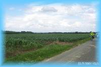 th_p0005553.jpg 5.3K