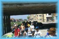 th_p0005968.jpg 8.3K