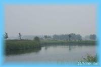 th_p0005777.jpg 3.3K