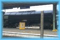 th_p0005796.jpg 6.6K
