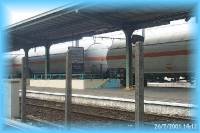 th_p0005797.jpg 7.2K