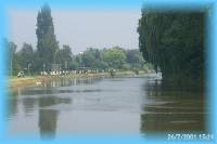 th_p0005812.jpg 4.9K