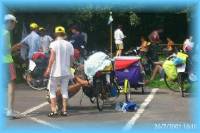 th_p0005822.jpg 7.8K