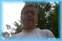 th_p0005831.jpg 6.9K