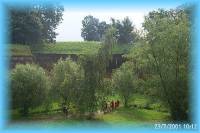 th_p0005567.jpg 6.7K