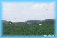 th_p0005637.jpg 4.4K