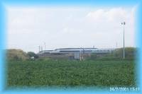th_p0005638.jpg 4.6K