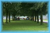 th_p0005474.jpg 6.6K