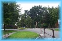 th_p0005486.jpg 7.8K