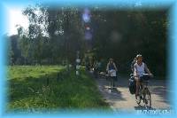 th_p0005906.jpg 6.3K
