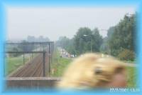 th_p0005848.jpg 4.6K