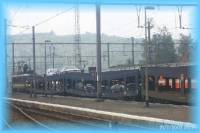 th_P0011058.jpg 6.0K