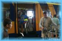 th_p0011843.jpg 6.6K