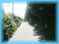 th_m2003071814010056.jpg 6.5K