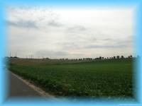 th_m200307200900198.jpg 4.4K